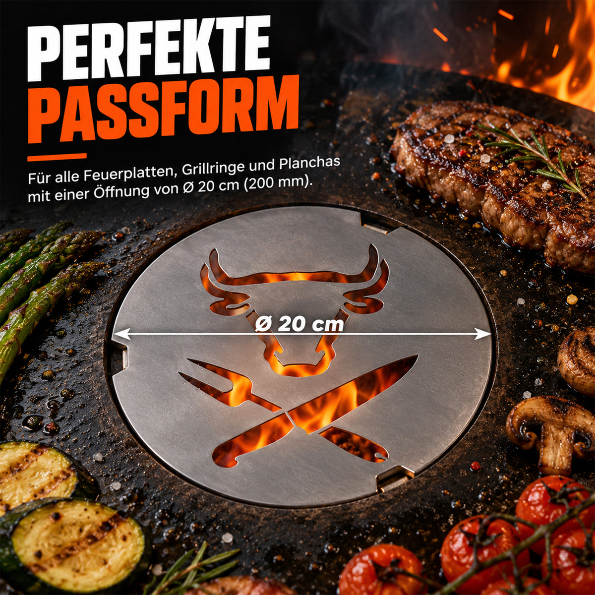 Perfekte Passform für Feuerplatten mit Öffnung Ø 20 cm